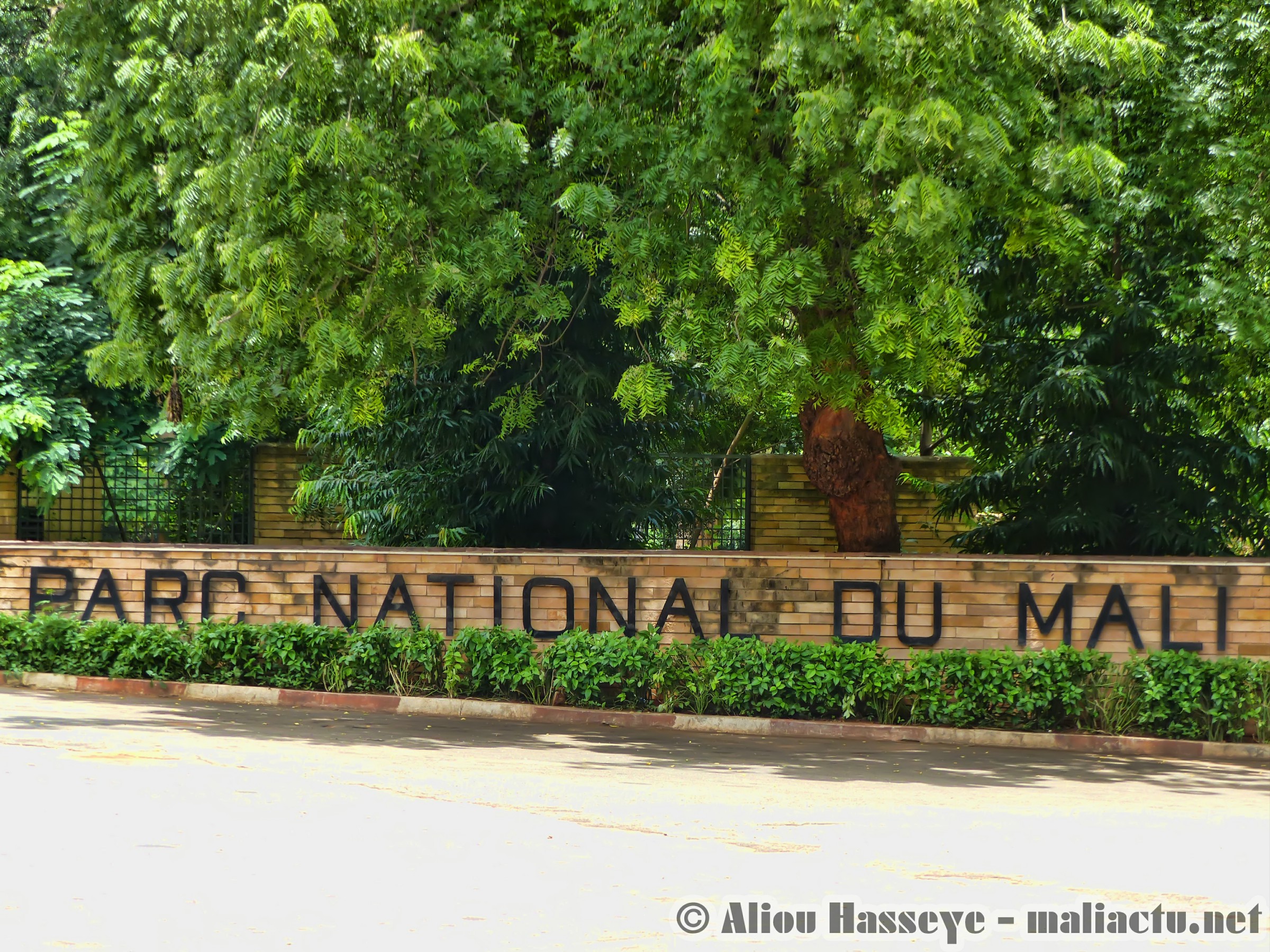 PARC NATIONAL DU MALI 