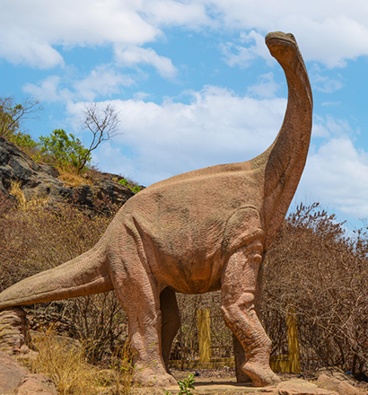 JARDIN DE LA PREHISTOIRE Image